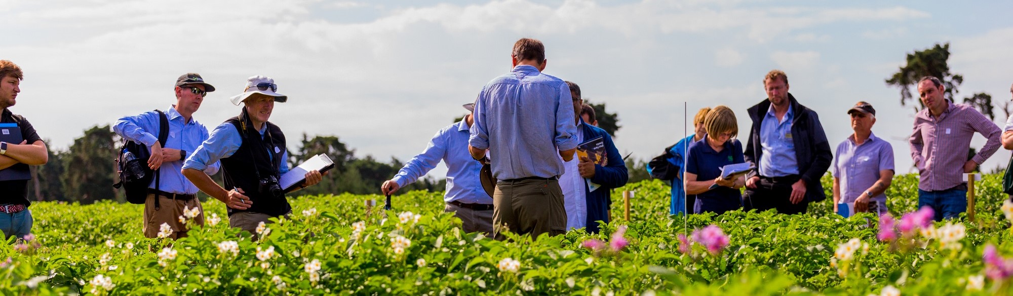a group of people standing in a field of flowers